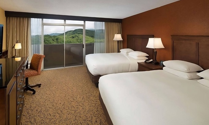 Gatlinburg Hotel | Experience Gatlinburg's Magic! Indoor Swimming Pool, Pets Allowed!