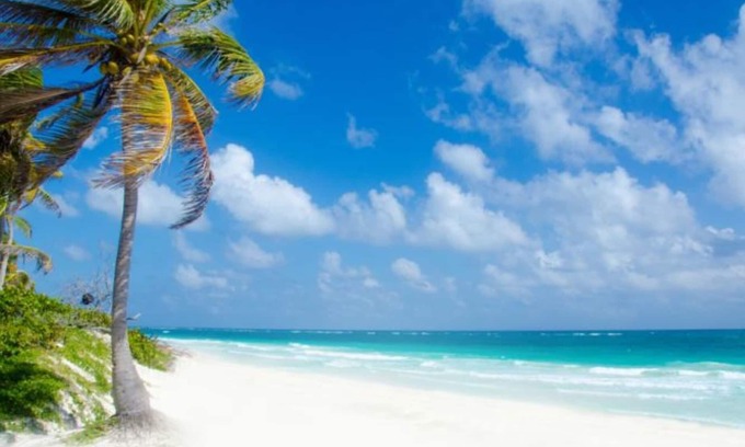 Akumal Apartamento | Experience paradise at Bahía Príncipe Residences & Golf Club! 🌴☀️ ( C 12 )
