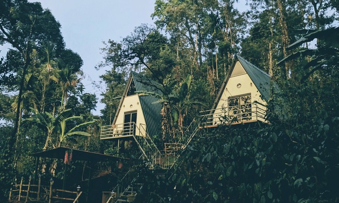 Madikeri Casa | Experience Serenity at Coorgology estate stay in Lush Coffee Plantations