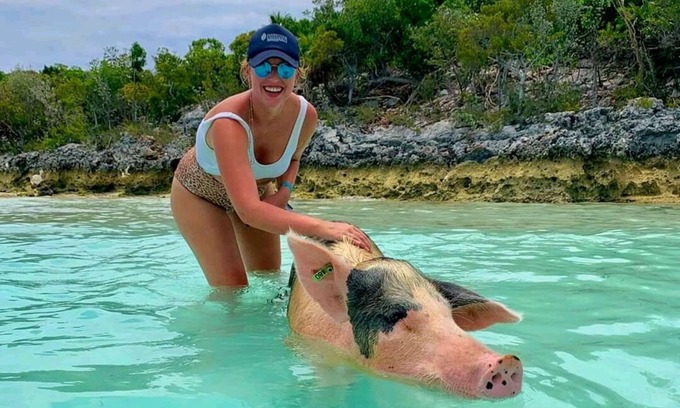 Rolleville Casa | Exuma Point Villas -Swimming Pigs Resort- Green Lignam Vitae