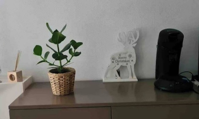 Poincare - Foch - Anatole France - Croix de Bourgogne Apartamento | F2 5min from the station, duplex, quiet, 47m2