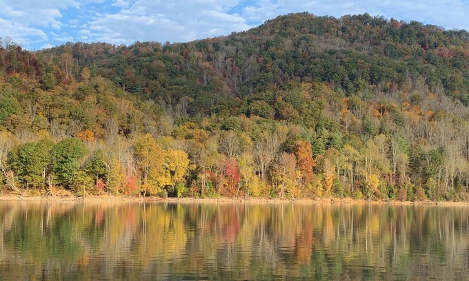 Butler Cabina | Fall for Lakefront Bear Cub Cabin on Watauga Lake