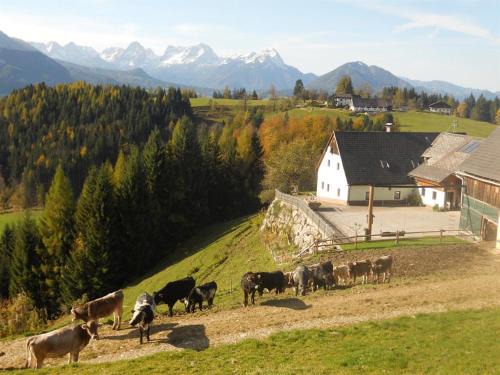 Spital am Pyhrn Casa | Familienbauernhof Imitz, Ferienwohnung