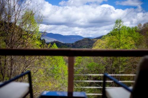 Robbinsville Chalet De Esquí | Family Cabin Near Smoky Mtn Entrance Nantahala