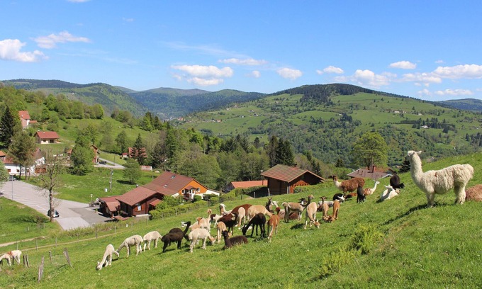 La Bresse Cabaña | Chalet familiar en La Bresse, cerca de senderos, WIFI, acepta mascotas