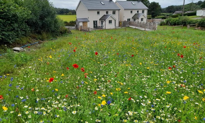 Llandovery Casa | Family Country Cottage with Stunning Mountain Views
