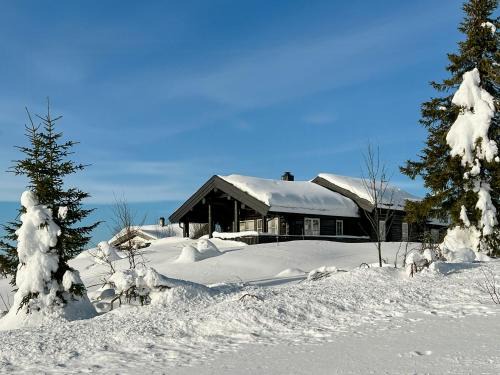 Trysil Casa | Family-Friendly Log Cabin With Panoramic View