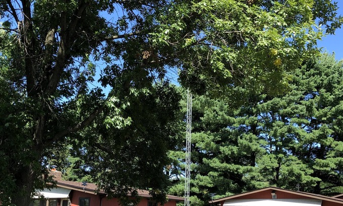 Cochrane Cabina | Resort familiar en el río Mississippi: muelle privado