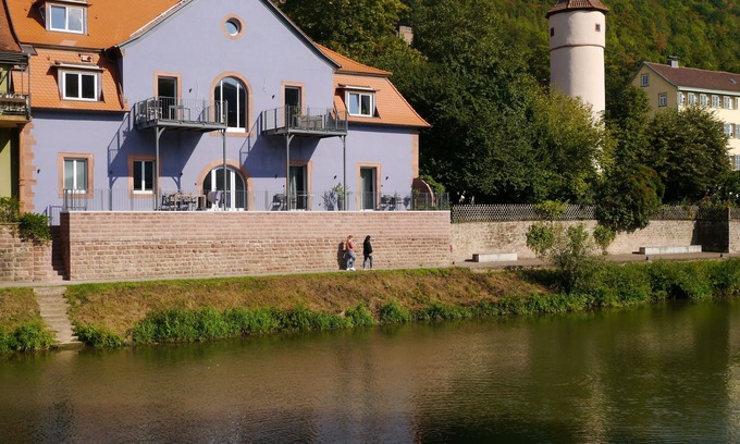 Wertheim Apartamento | Fantásticos apartamentos con solárium a orillas del Tauber