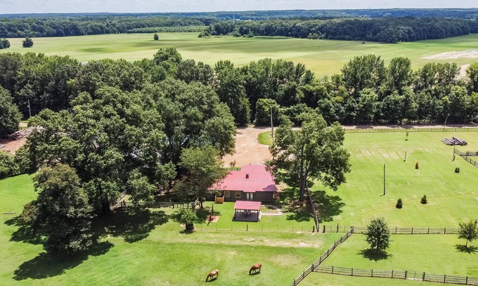 Lakeland Otro | Escapada FarmCharm cercano a Memphis, TN & viñedo