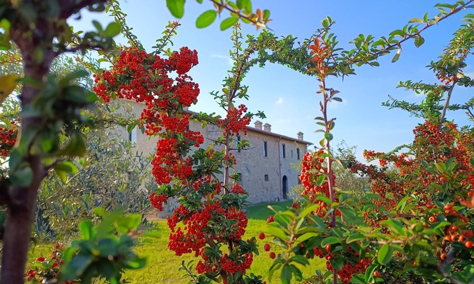 Assisi Casa | Farmhouse The Canticle of Tenderness