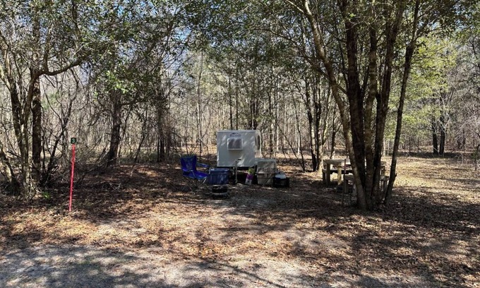 Tallahassee Alquiler De RV | Farmstay- SMALL RV primitive site