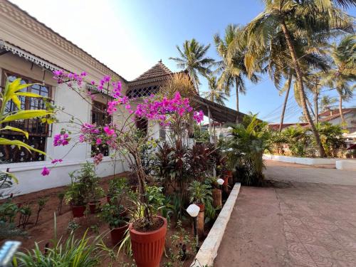 Saunta Vaddo Casa | Fatima Guest House