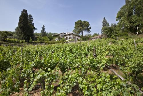 Arcugnano Casa | Fattoria Le Vegre