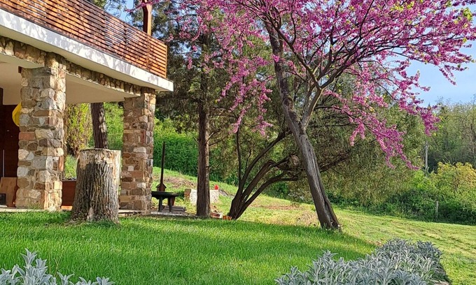 Sremski Karlovci Villa | Felicita Vila in nature suitable for accommodation during the EXIT festival!