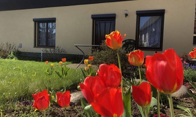 Banzkow Apartamento | Ferienbungalow Familie Pohl - Holiday bungalow, shower, 1 bedroom