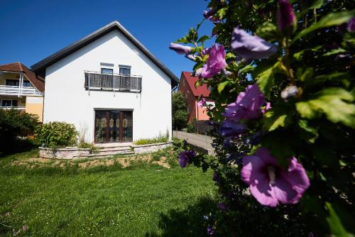 Schweigen-Rechtenbach Casa | Ferienhaus SWD