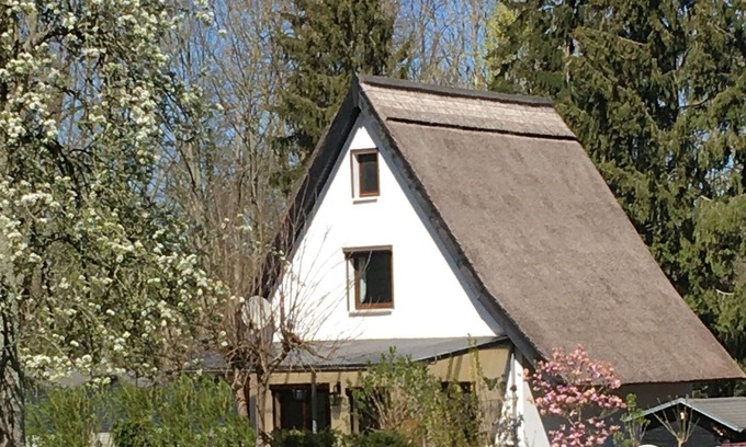 Stolpe Apartamento | Ferienhaus Idyll im Naturpark