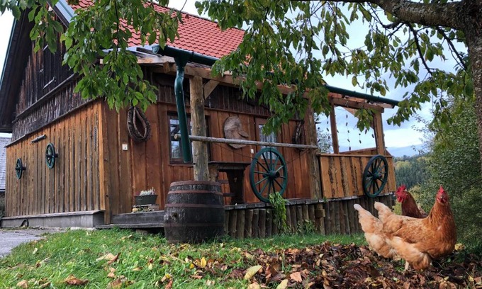 Langschlag Cabina | Ferienhaus FRIEDLHOF
