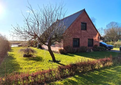 Helse Casa | Ferienhaus Helserdeich - Urlaub zwischen Brunsbüttel und Friedrichskoog