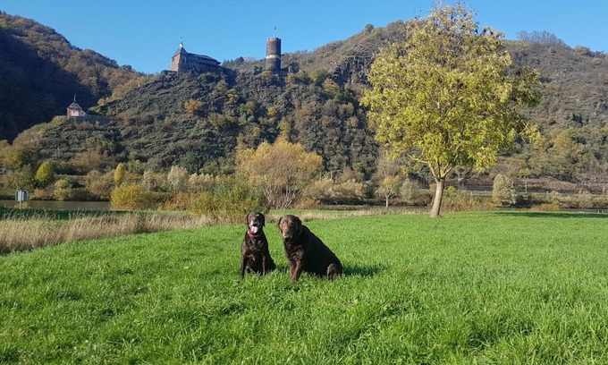 Kurrenberg Apartamento | Ferienhaus Leopold mit Burgblick an der Mosel