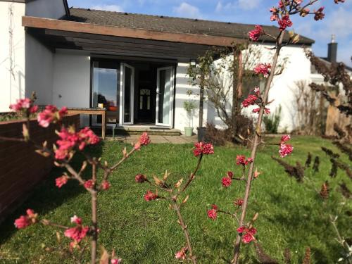 Breitenbrunn Casa | Ferienhaus Seeblick