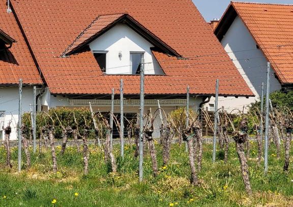 Oberhausen Casa | Ferienhaus Vongerichten