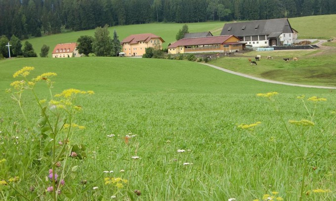 Mariahof Casa | Ferienhaus Wohleser