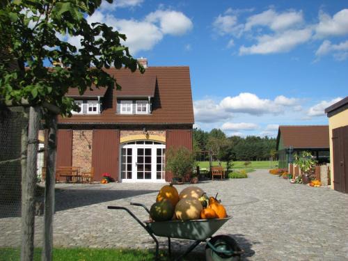 Klitten Apartamento | Ferienhof Erlengrund