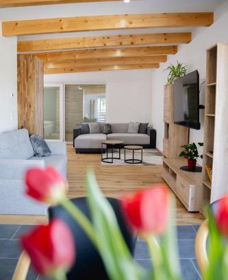 Purbach am Neusiedlersee Apartamento | Ferienwohnung über dem Weingut Schüller