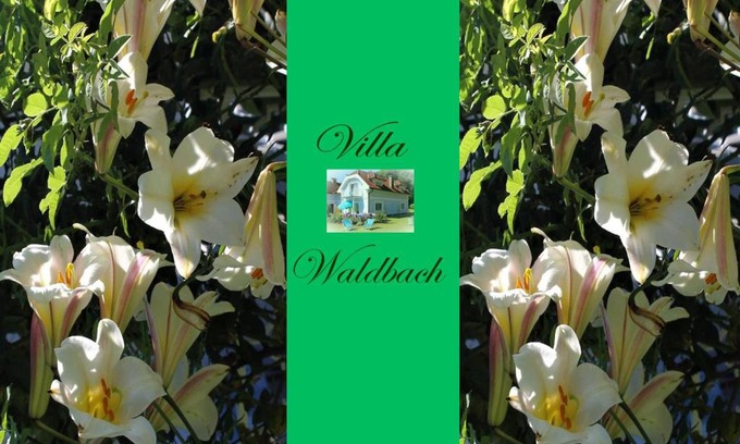Krumpendorf am Woerther See Apartamento | Ferienwohnung am Wörthersee Villa Waldbach