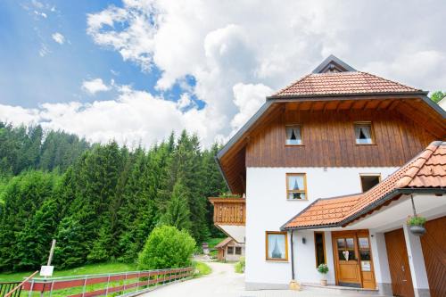 Schonach im Schwarzwald Apartamento | Ferienwohnung Birgit