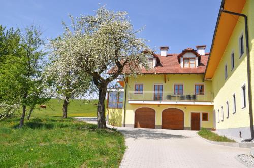 Hofkirchen im Muehlkreis Apartamento | Ferienwohnung Mayrhofer