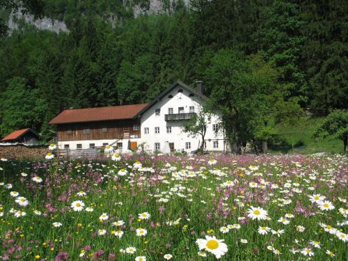 Golling an der Salzach Apartamento | Ferienwohnung Bluntaumühle