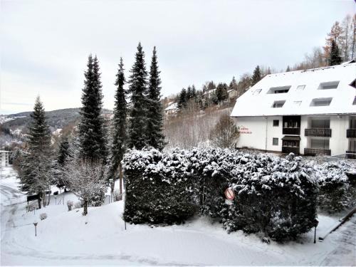 Triberg im Schwarzwald Apartamento | Ferienwohnung Bergblick