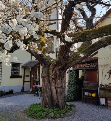 Offheim Apartamento | Ferienwohnung Zum-alten-Kirschbaum