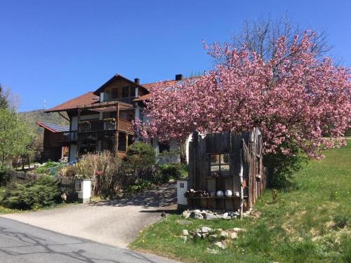 Rimbach Apartamento | Ferienwohnung Gammer