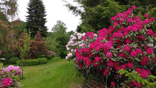 Worpswede Apartamento | Ferienwohnung Gartenblick