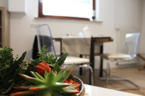 Denkte Apartamento | Ferienwohnung Landlust Wolfenbüttel