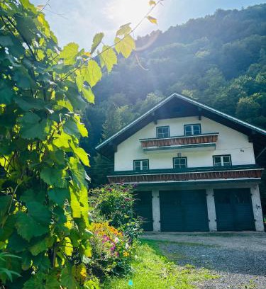 Hintersee Apartamento | Ferienwohnung Langfeld