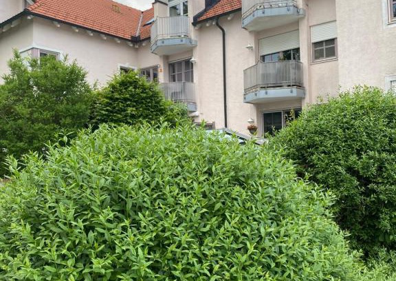 Traunstein Apartamento | Ferienwohnung Lichtgalerie
