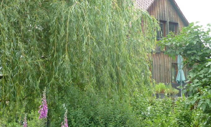 Elmenthal Apartamento | Ferienwohnung Lotti