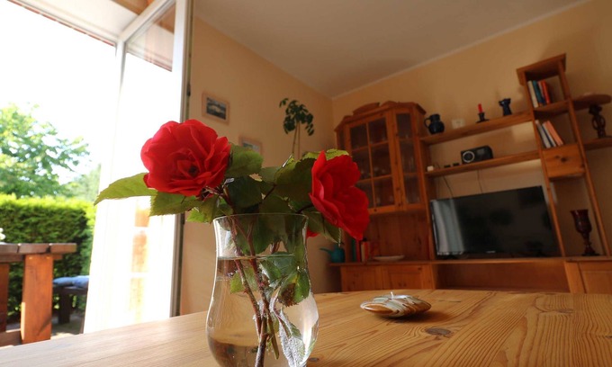 Sellin Apartamento | Ferienwohnung Möwe - Ferienwohnungen Se-lf