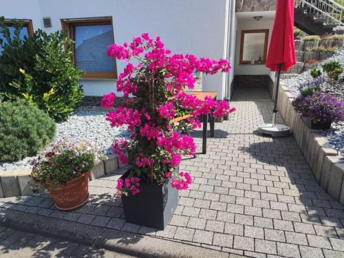 Alken Apartamento | Ferienwohnung Moselzeit