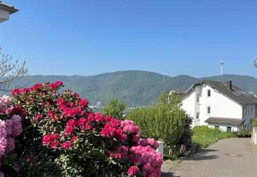 Lahnstein Apartamento | Ferienwohnung Rhein-Panorama