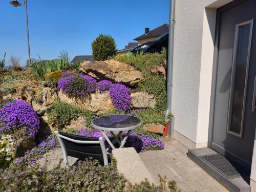 Platten Apartamento | Ferienwohnung Ries am Weinberg