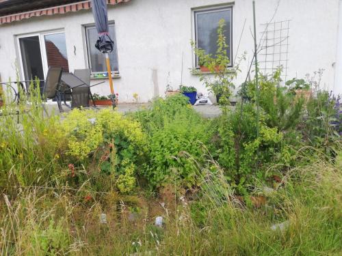 Korchow Apartamento | Ferienwohnung Wittenburg 1
