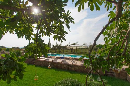 Pitigliano Cama Y Desayuno | FicOlivo