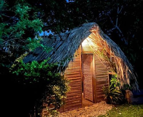 Puerto Triunfo Otro | Finca Alto Bonito