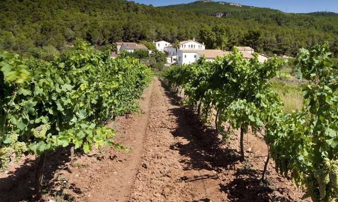 L'Avella Apartamento | Finca Can Romeu: alojamiento rural entre viñedos